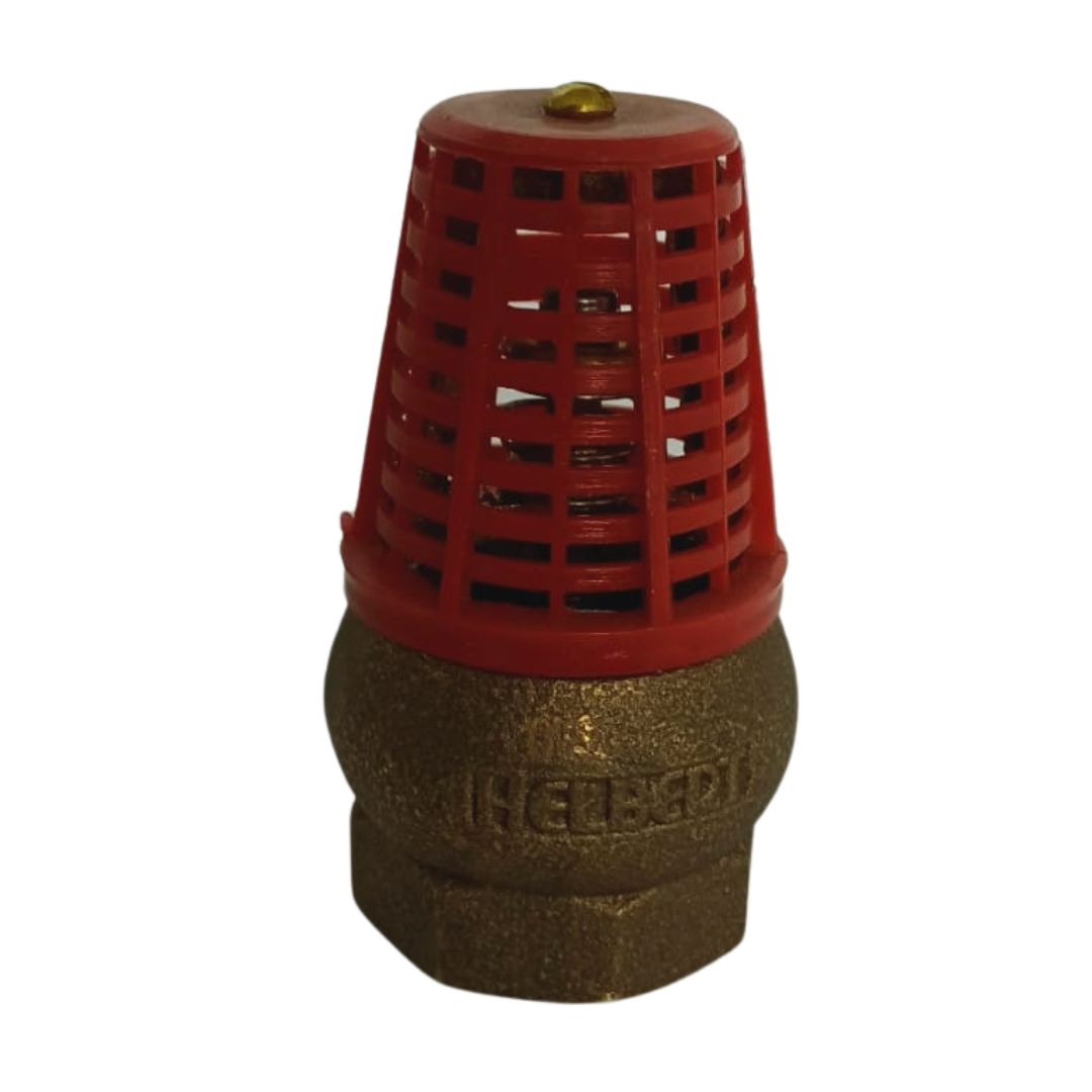 Válvula de Pie en bronce , canastilla plástica