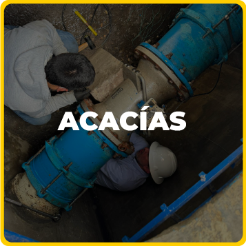 Acacías